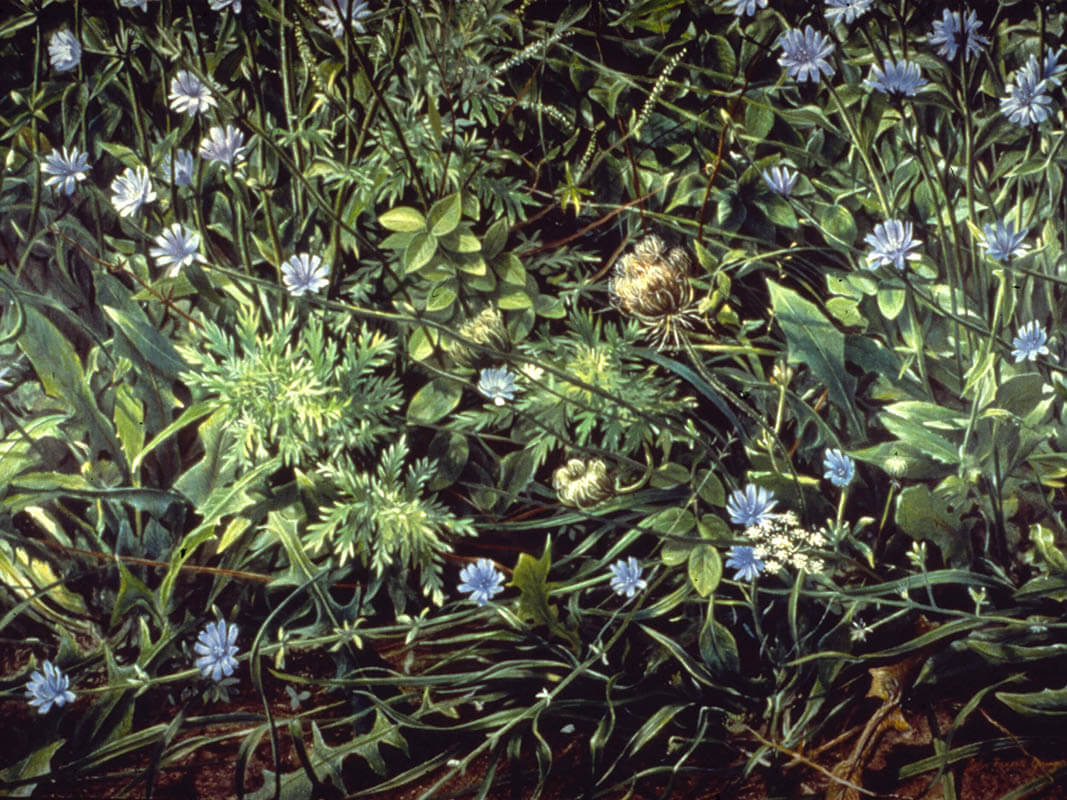 Artwork by John Randall Younger
